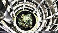 Snails Parking garage