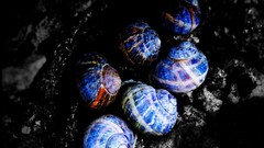 Snails selective coloring Biutiful (movie)