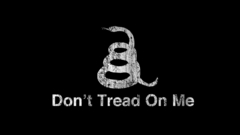 Snakes Flags Tea Party