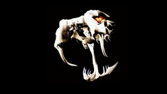 Snakes skulls logos Randy Orton WWE World Wrestling 