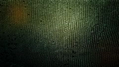 Snakes Textures skin