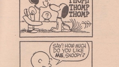 Snoopy Charles Schulz Peanuts