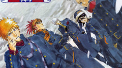 Snow bleach kurosaki ichigo