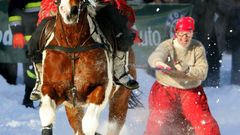 Snow crazy Horses ski