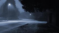 Snow dark nighttime