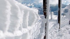 Snow fences Chain Link