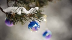 Snow Holidays Christmas depth of field Evergreen Christmas 