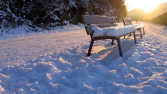 Snow ice bench not but relevant