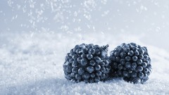 Snow ice blackberry