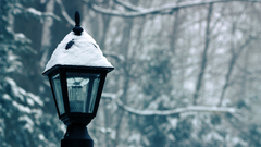 Snow lamp posts
