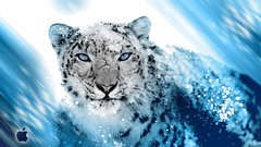 Snow leopard high inspired Resolution djog bummpp