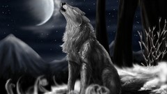 Snow night dark moon Wild Wolves runes artwork moon light