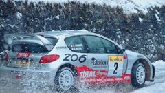 Snow Peugeot peugeot 206