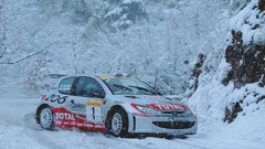 Snow Peugeot rally wrc peugeot 206