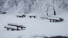 Snow snow landscapes Brasov