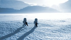 Snow sun star wars Legos toys (children) snowtroopers