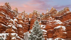 Snow Utah Parks Red Canyon