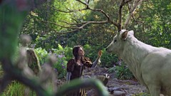 Snow-white forests Snow White and the Huntsman artwork Kirsten 