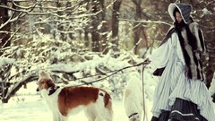 Snow winter Dogs hats leash Russians