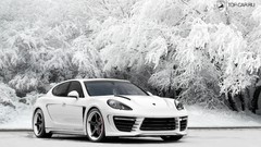 Snow winter stingray Porsche Panamera