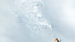 Snowboarding advertisement artwork fred