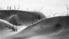 Snowdrift high