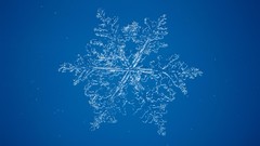 Snowflakes snow microscope