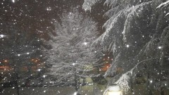 Snowflakes snow winter serbia Kragujevac
