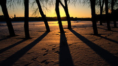 Snowy twilight xl natl