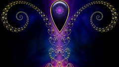 Soaring essor envol hochfliegend