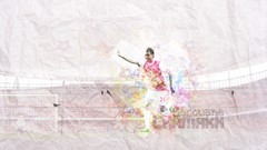 Soccer Arsenal FC Gunners gunner A.F.C. Chamakh Marouane 