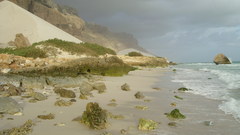 Socotra Island beach off