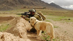 Soldier Dogs AUG