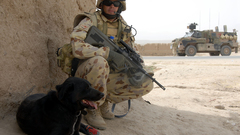 Soldiers Dogs Australian Steyr