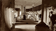 Soldiers mosquito hospital netting ) With Wounded harewood