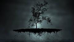 Solo high that try Resolution