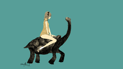 Somefield sketch tortoise