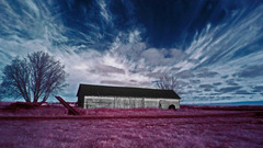 Something high infrared scape Resolution foodshelf