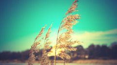 Something like This Tumblr have anyone 1280