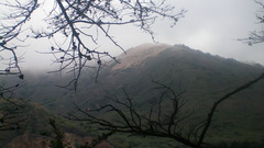 Somewhere in Northern cali