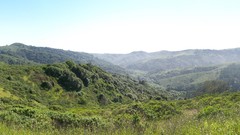 Somewhere near frisco high