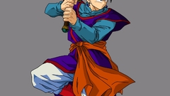 Son Gohan Dragon Ball