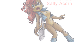 Sonic the Hedgehog Sally