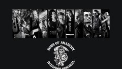 Sons of anarchy TV series