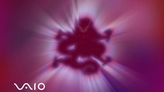 Sony vaio