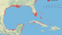 Southeastern us high