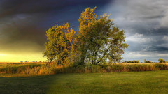 Space time collide field