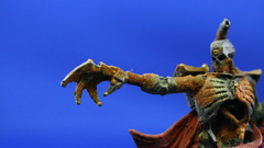 Specifically Necrons skeletons