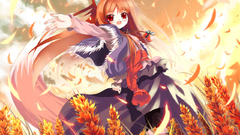 Spice and wolf animal