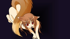 Spice and wolf animal